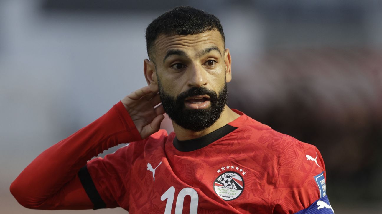 FIFA要求埃及世界杯球衣删去七星标志